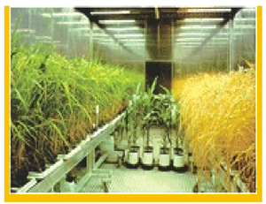 植物生长人工气候室