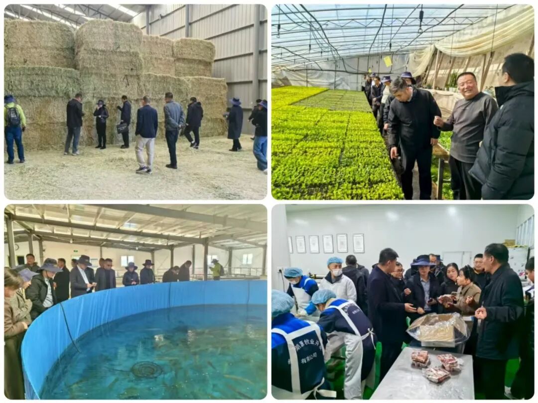 浙青专家团赋能海西发展 ▏微松科技:为援青冷链车装上 “智慧大脑