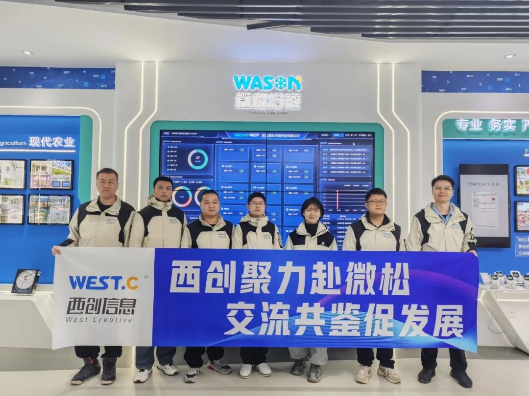 十年同行承初心 协同共启新征程——西创聚力赴微松,交流共鉴促发展