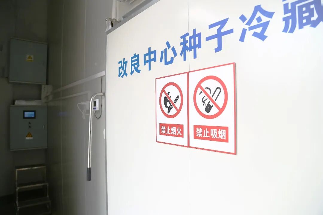 热点 × 微松科技|锚定健康中国与乡村振兴,护航民生的“安