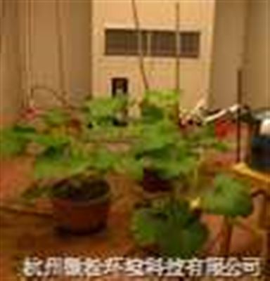 高光照人工气候室（顶置光源）