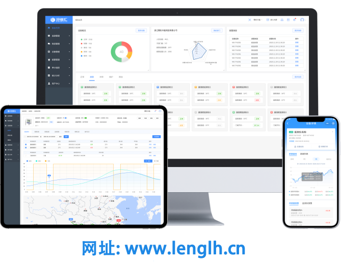 G-Aplus外置双深低温温度记录仪