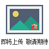 20920一次性油罐温度记录仪
